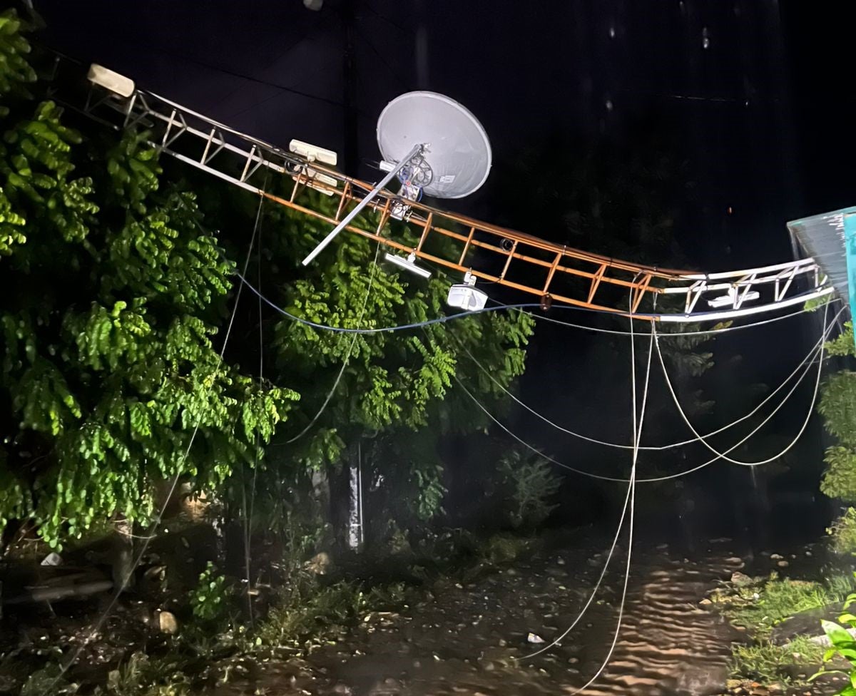 Caída de árboles en el municipio de Tibú por vendaval.