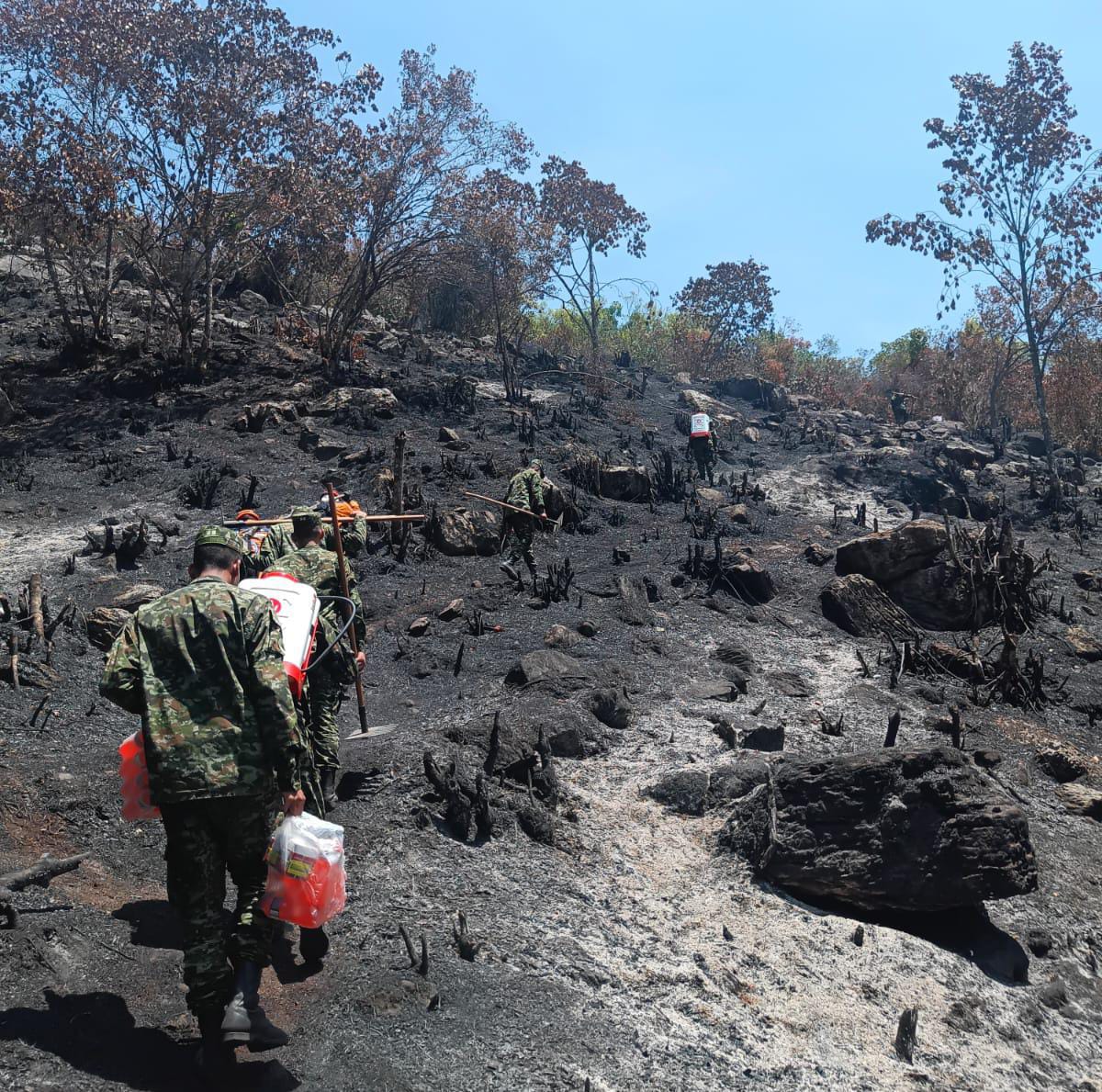 Ejército se suman a trabajos de mitigación de incendio forestal en Bochalema, Norte de Santander.