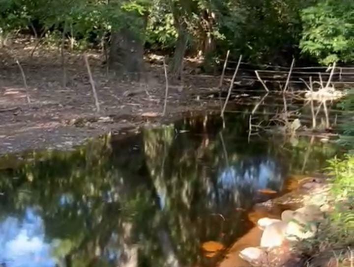 Graves daños ambientales por atentado a oleoducto en El Carmen, Norte de Santander