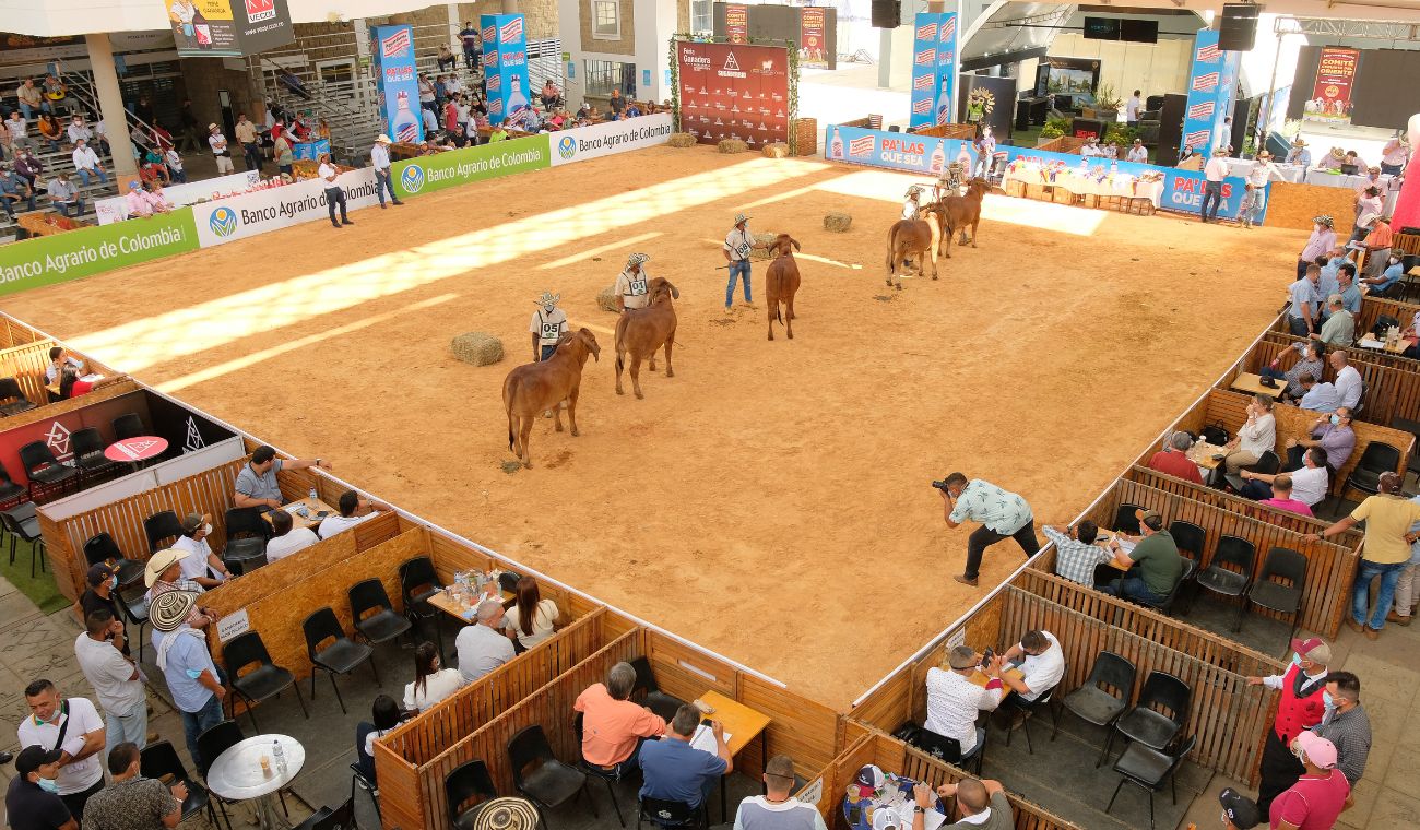 Feria Ganadera Cenfer