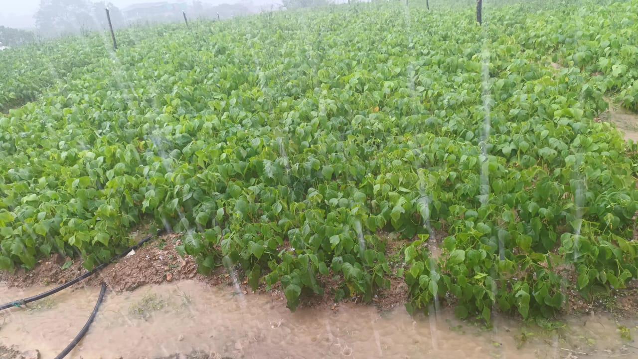 Granizada y fuertes lluvias en La Playa de Belén, Norte de Santander