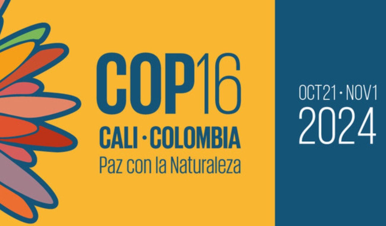 COP16 Colombia 2024