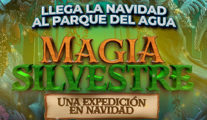 Apertura de la temporada navideña en el Parque del Agua (Bucaramanga)