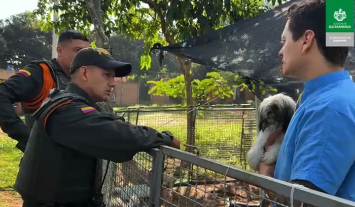 Rescate de animales en criadero clandestino en Bucaramanga
