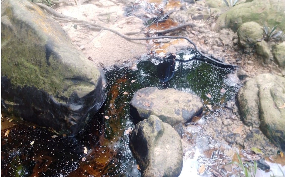 Totumito Carboneras contaminación