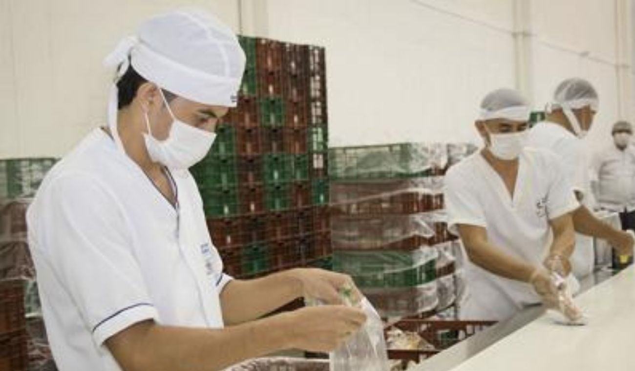 Desde de heces de animales, canastillas sucias donde se almacenan los alimentos, techos, paredes en mal estado hasta sifones sin rejillas están algunas instituciones de Santander.