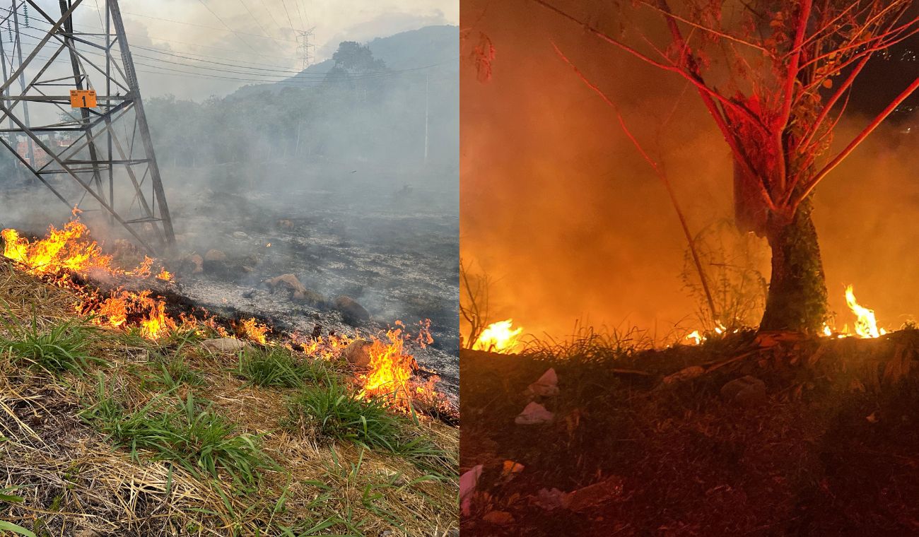 Emergencias forestales en Bucaramanga