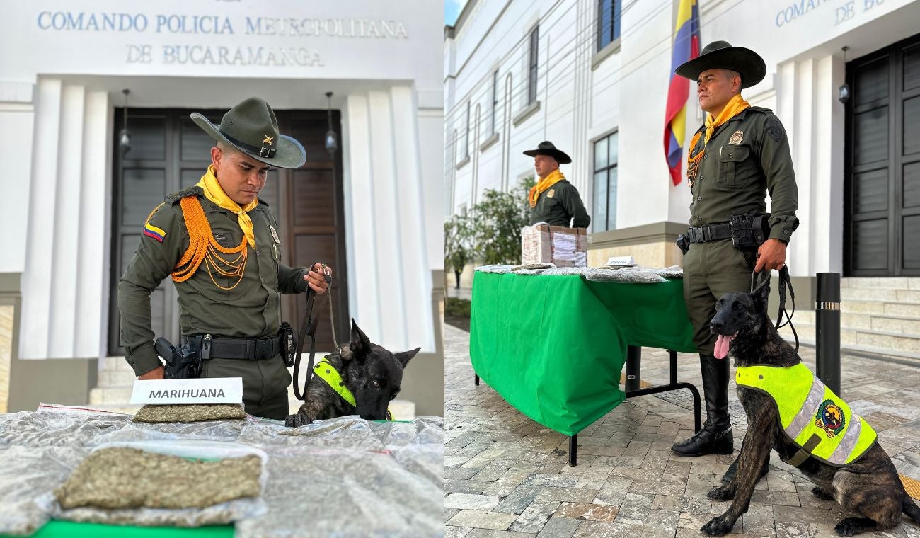 Marihuana valorada en $80 millones fue incautada en controles a encomiendas.