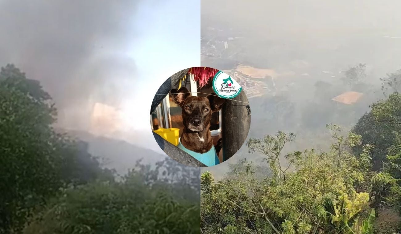Incendio forestal en Girón (Santander)