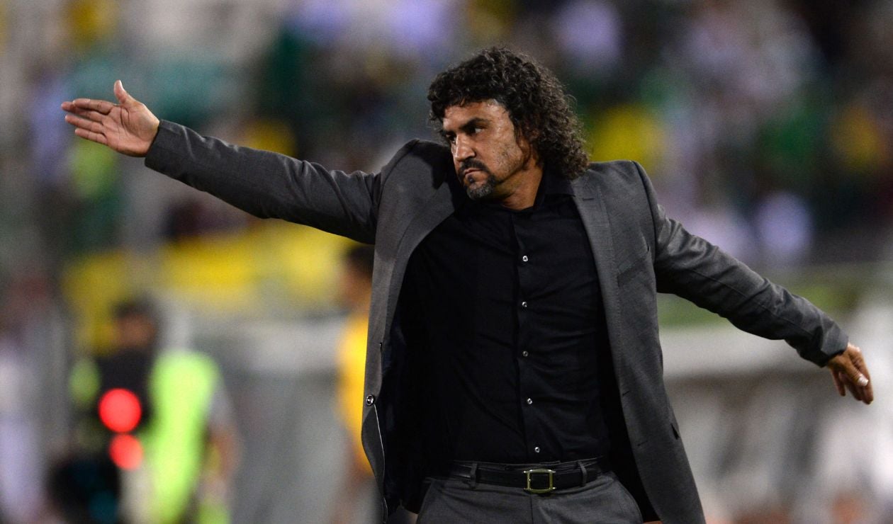 Leonel Álvarez fue director técnico de la selección Colombia mayores para el Mundial 2014