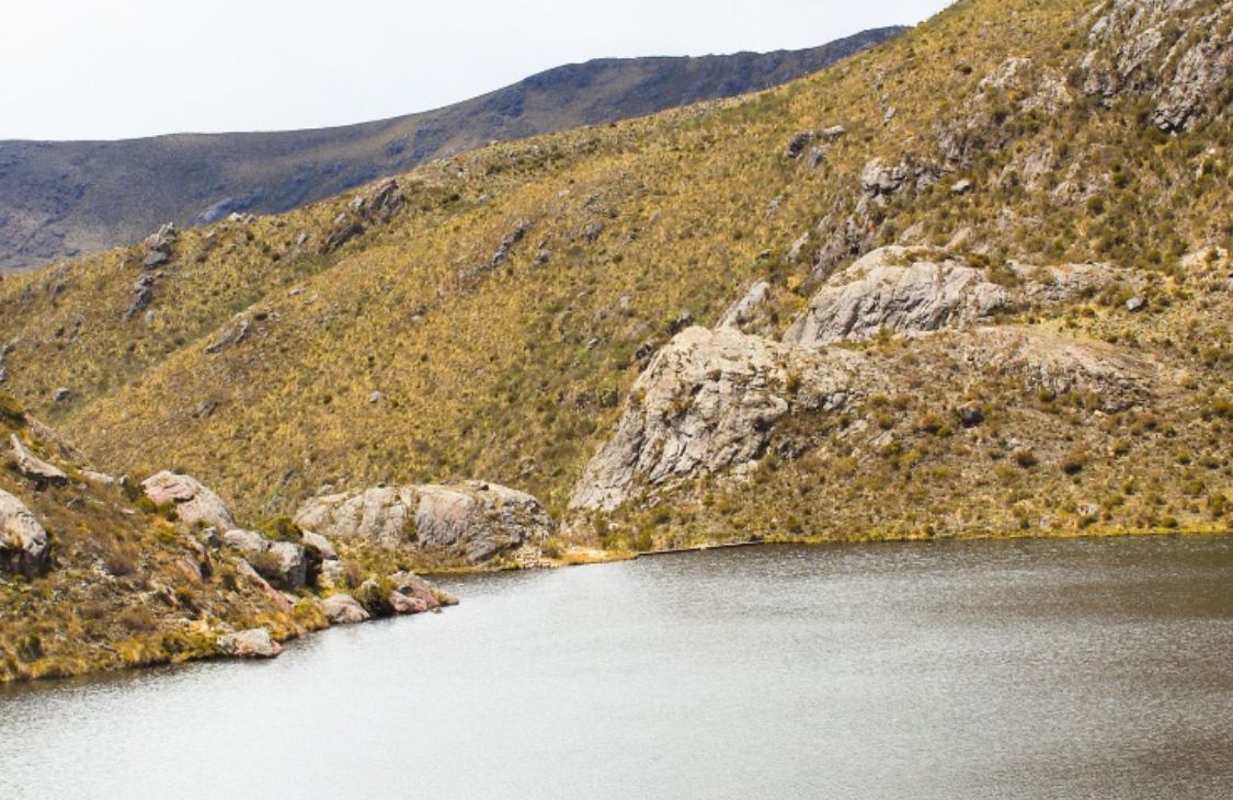 Páramo de Santurbán