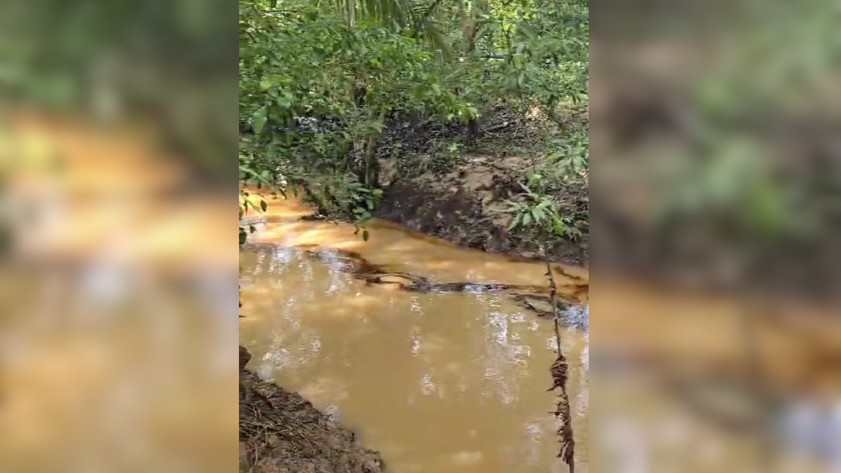 Ecopetrol avanza en trabajos para controlar el derrame de crudo en caño 'La Cira'.