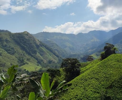 Vereda Guachimán zona rural de Tibú