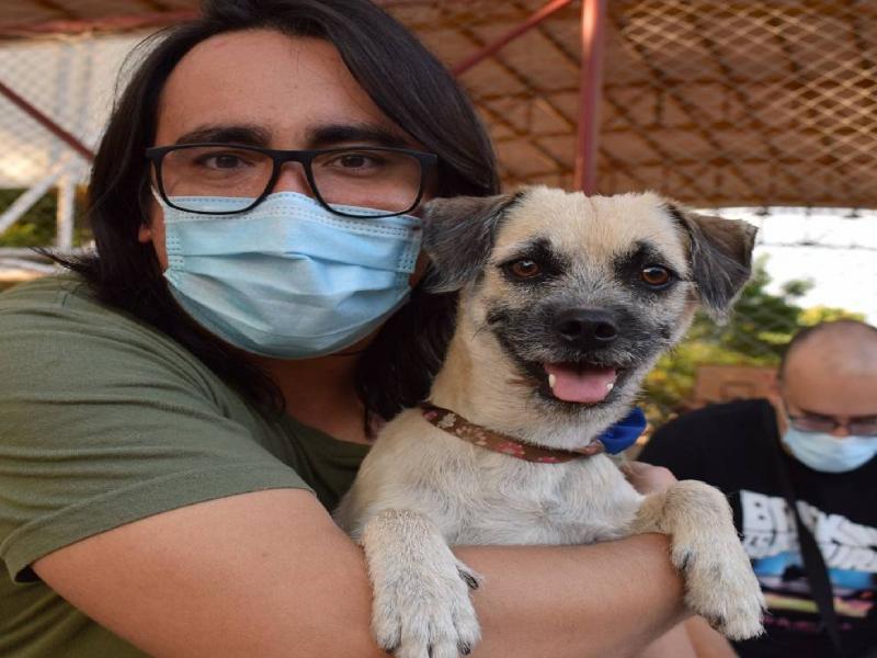 Concejal Animalista Víctor Caicedo