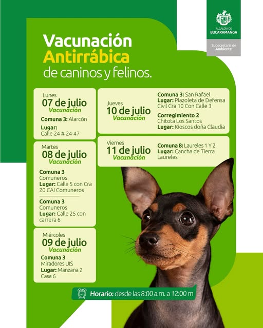 Jornadas gratuitas de vacunación antirrábica en diferentes sectores de la ciudad.