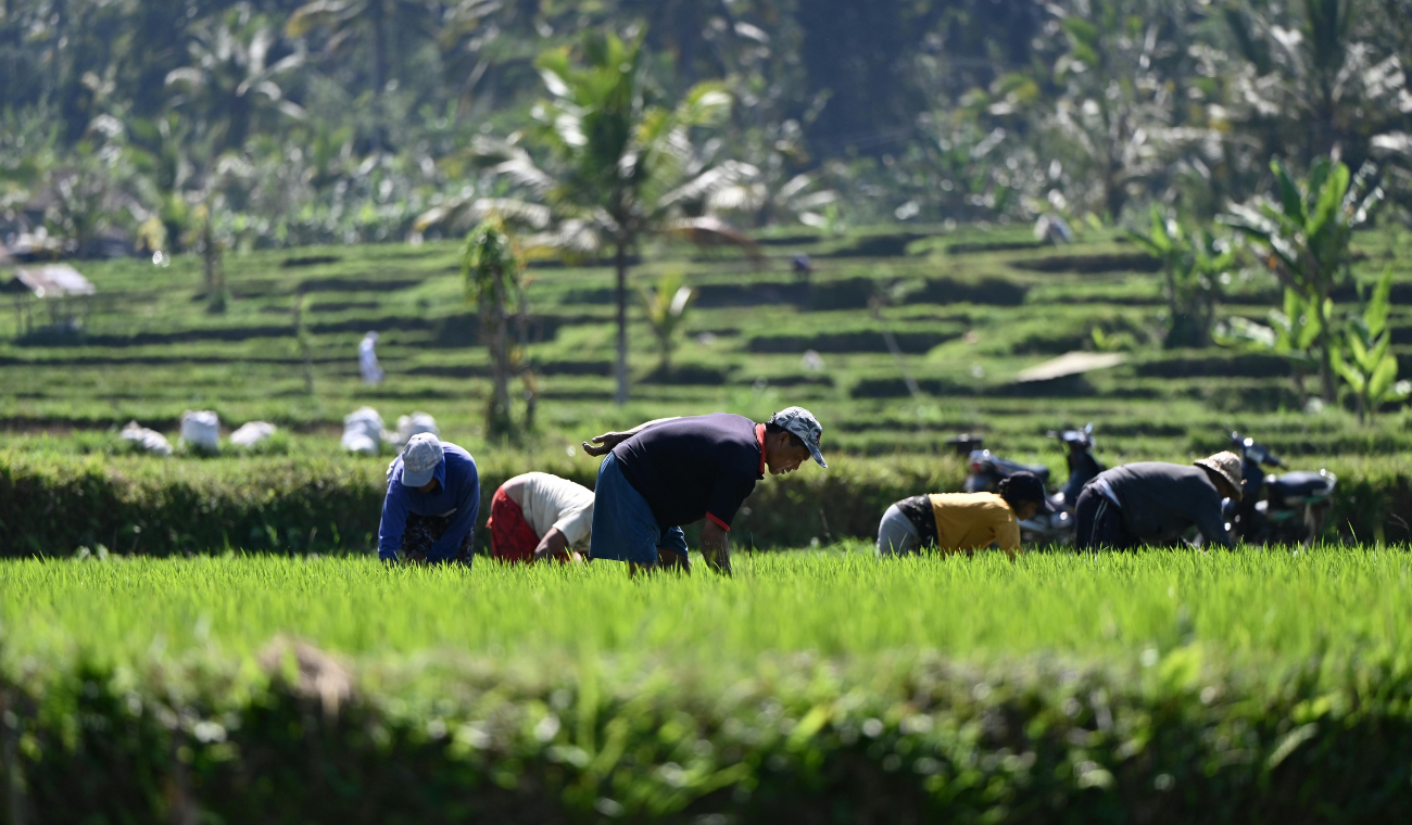 El paro nacional esta previsto para este lunes 14 de julio.