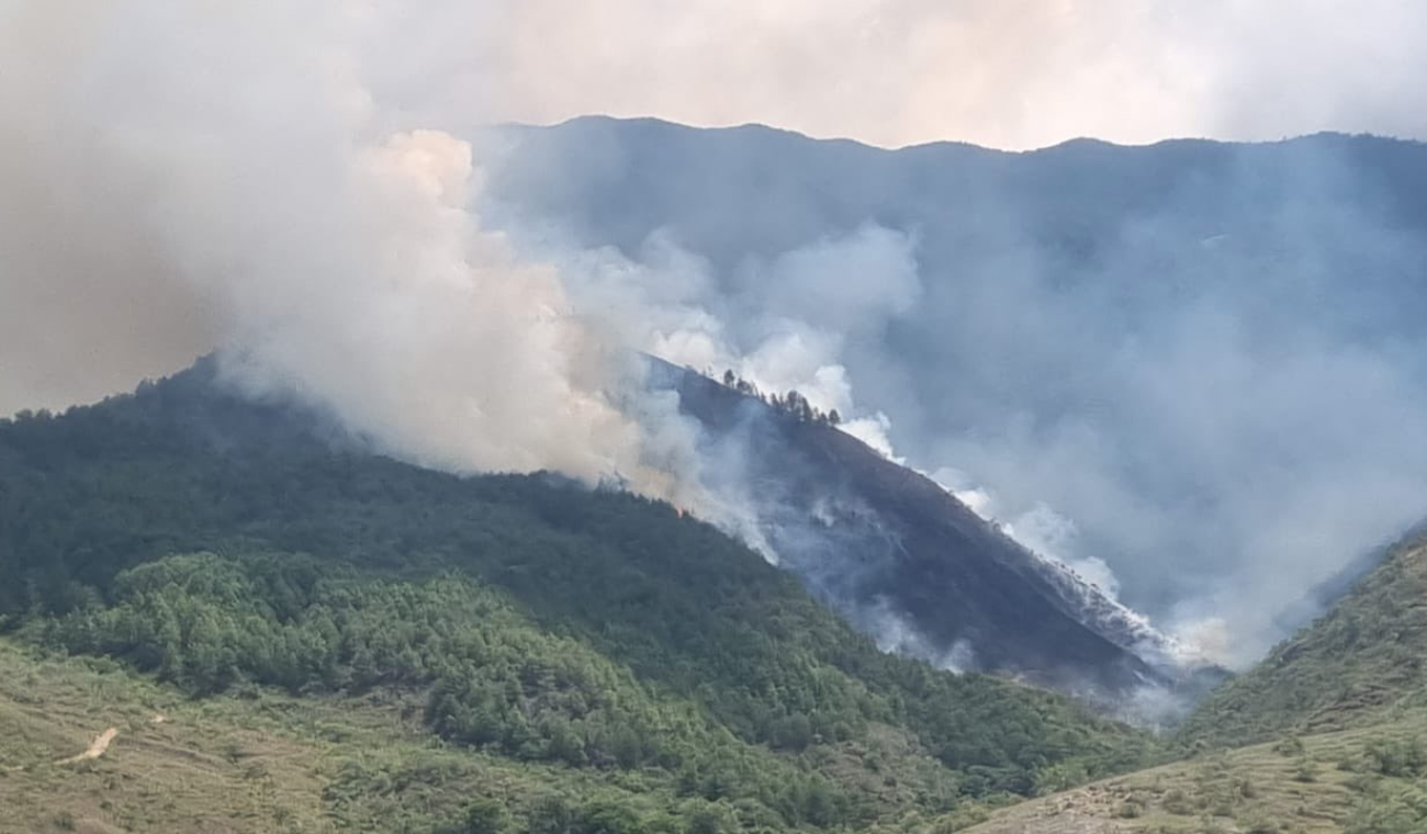 Grave incendio se registró en zona rural de Zapatoca.