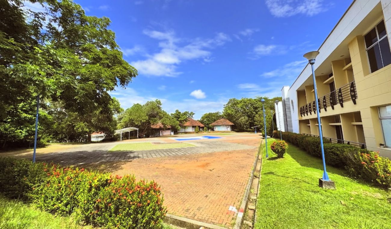 Instituto Universitario de la Paz