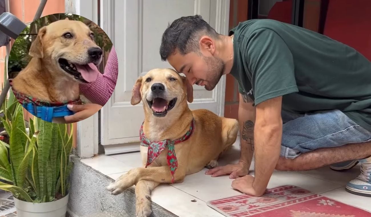 Pachito, el perrito que fue enterrado vivo y ahora tiene nuevo hogar