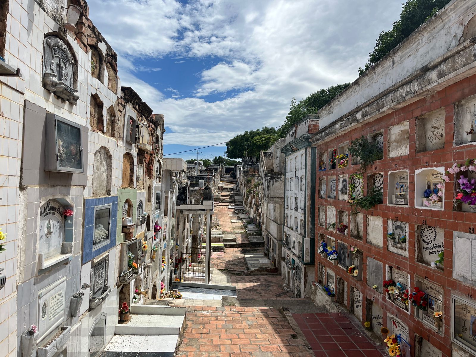 Cementerio Central de Cúcuta