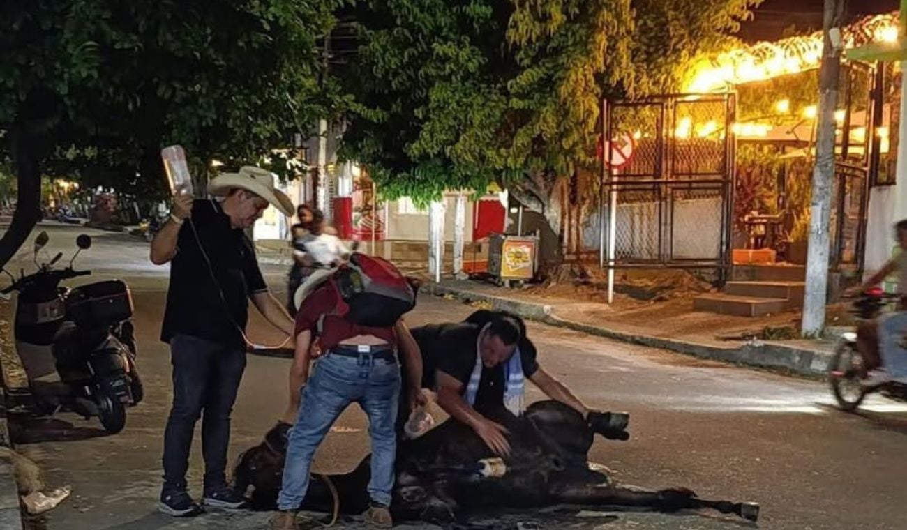 La responsabilidad de salud del caballo estaba en manos del jinete, reveló la Alcaldía.