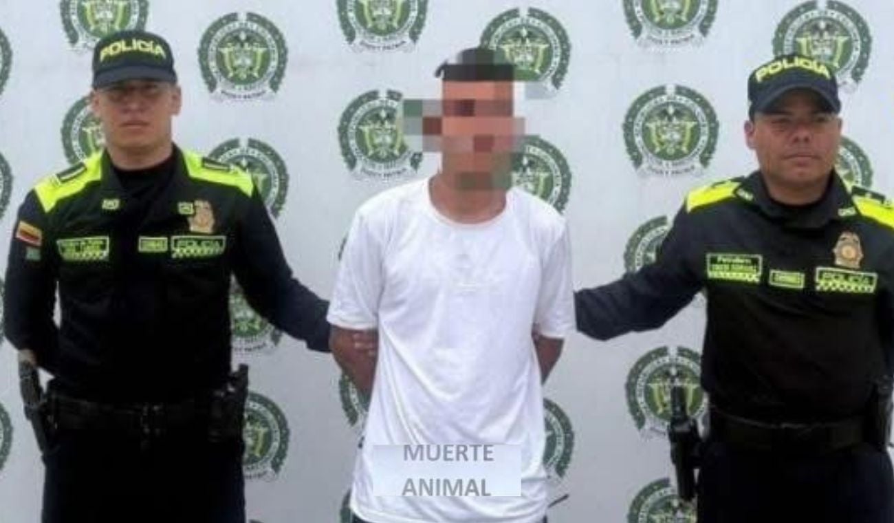 Captura de delincuente que atacó animales en Ocaña