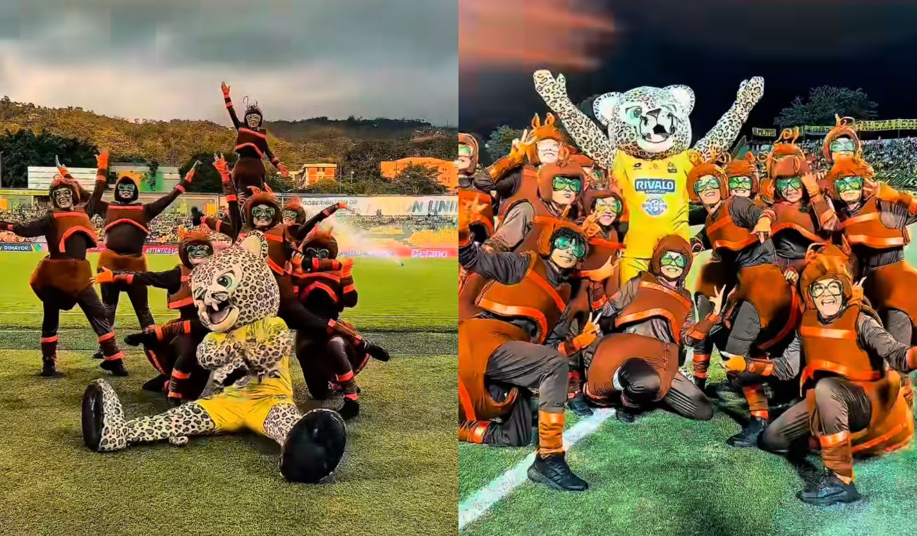 Hormigas culonas de Santander