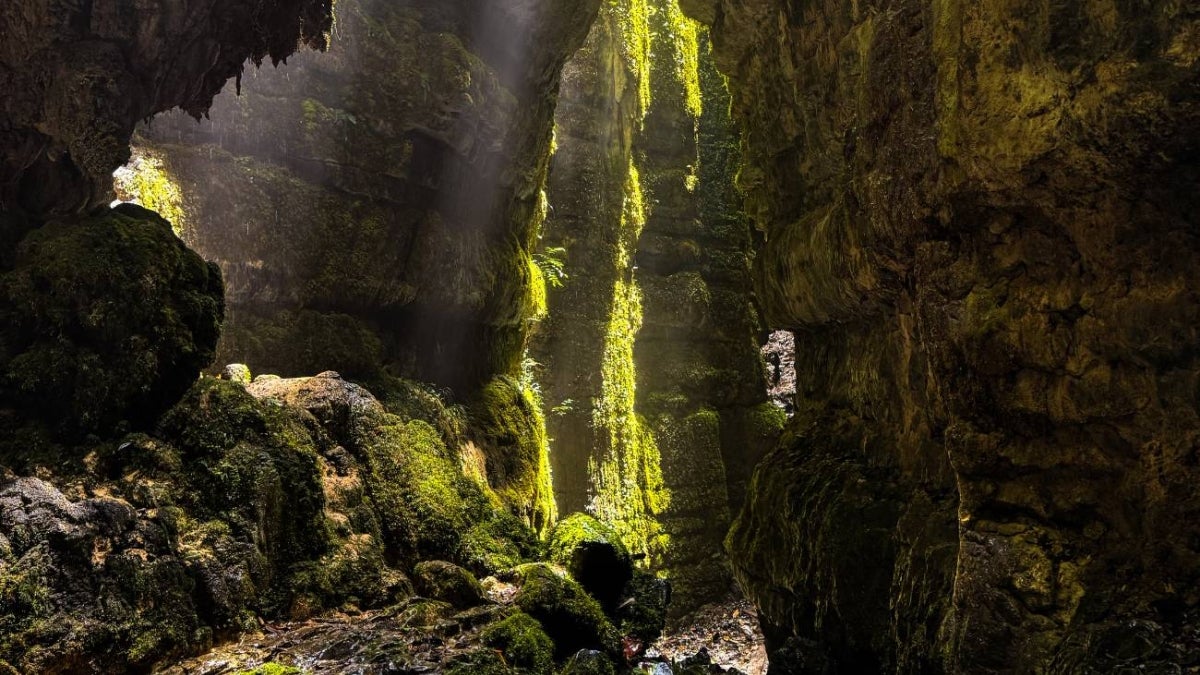 Secretaría de Cultura y Turismo de Santander / Contenido Patrocinado