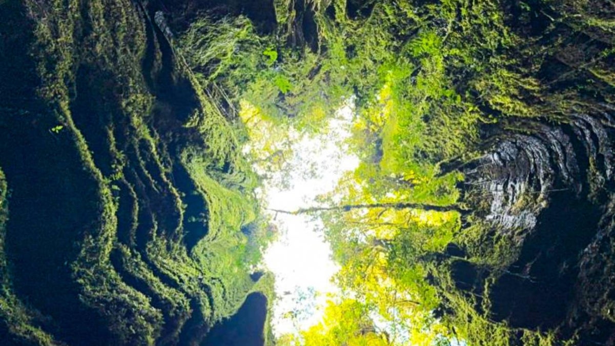 Secretaría de Cultura y Turismo de Santander / Contenido Patrocinado