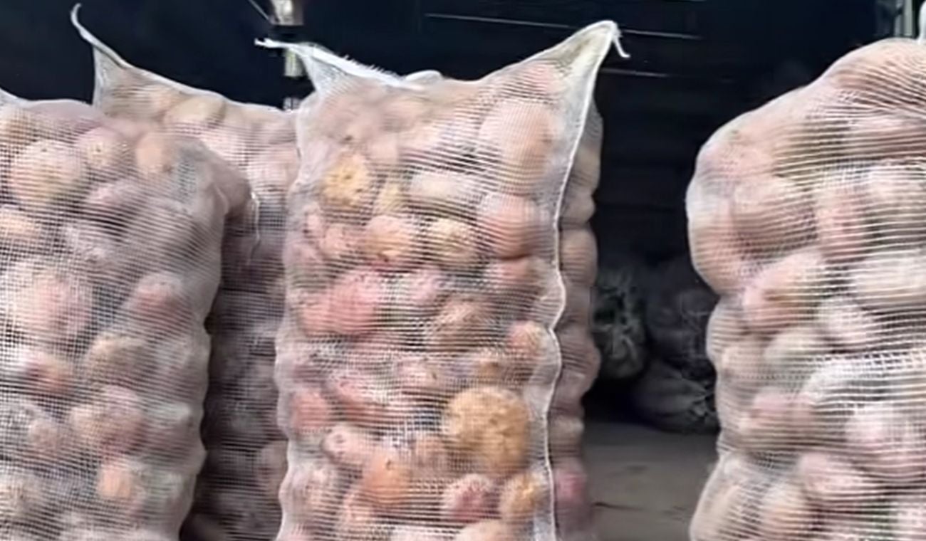 Papatón, Bucaramanga