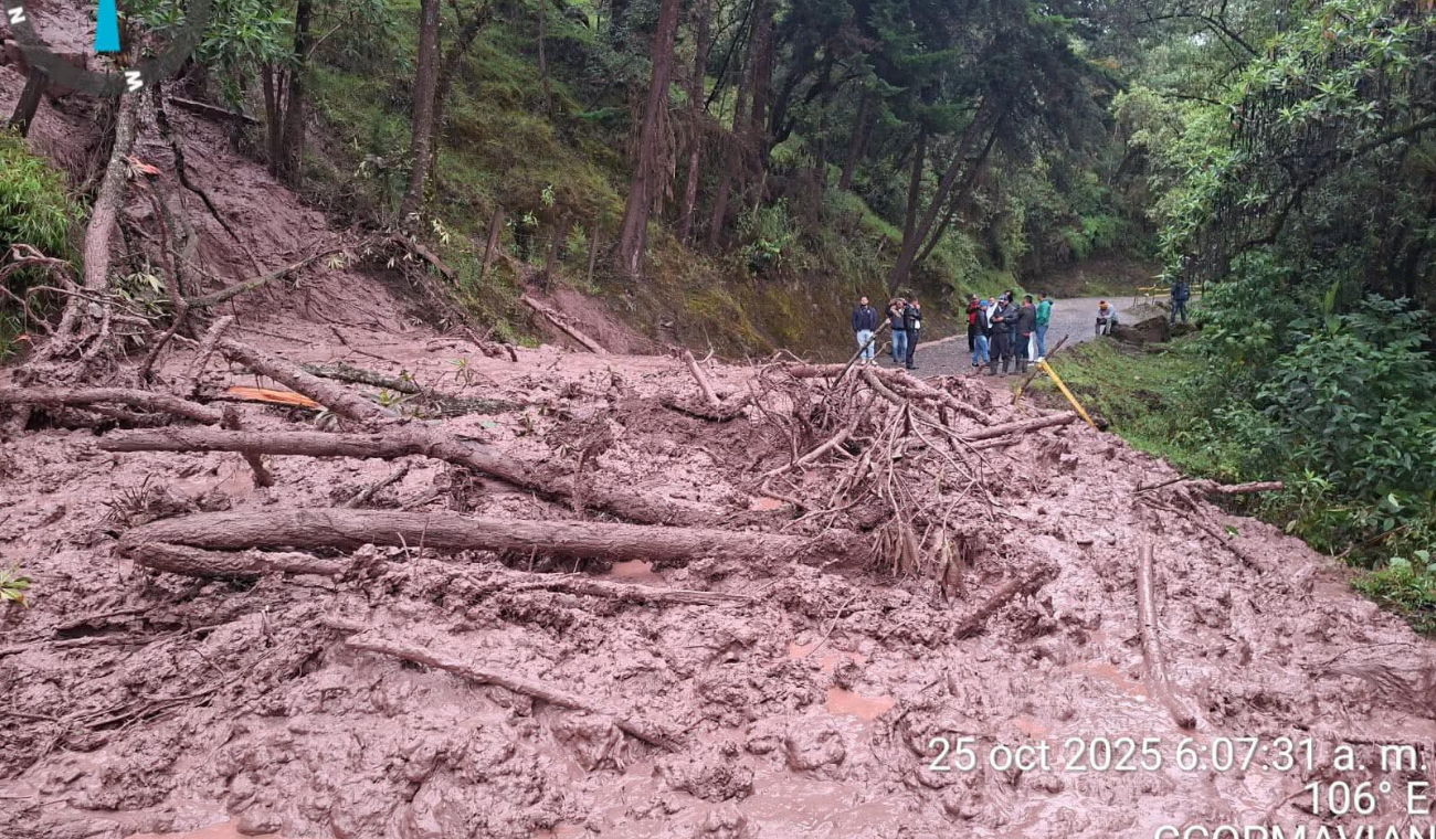 Vía Curos-Málaga | Santander | 2025