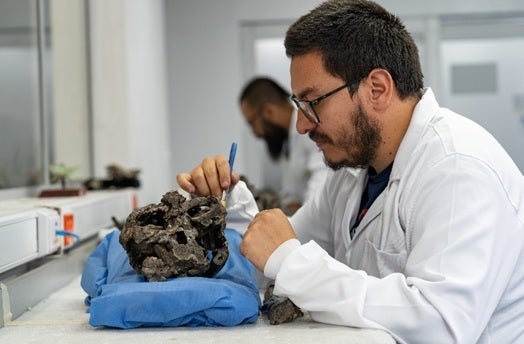 Mosasaurio excepcionalmente conservado