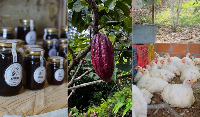 Productos de Rionegro (Santander)