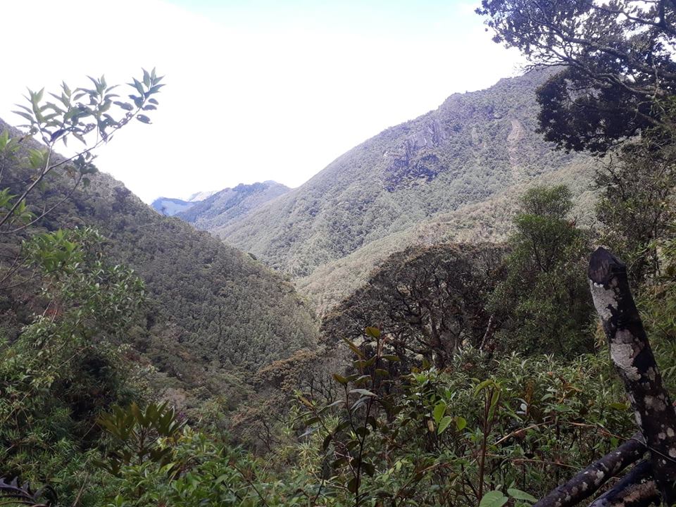 Acceso al Parque Nacional Natural Los Nevados