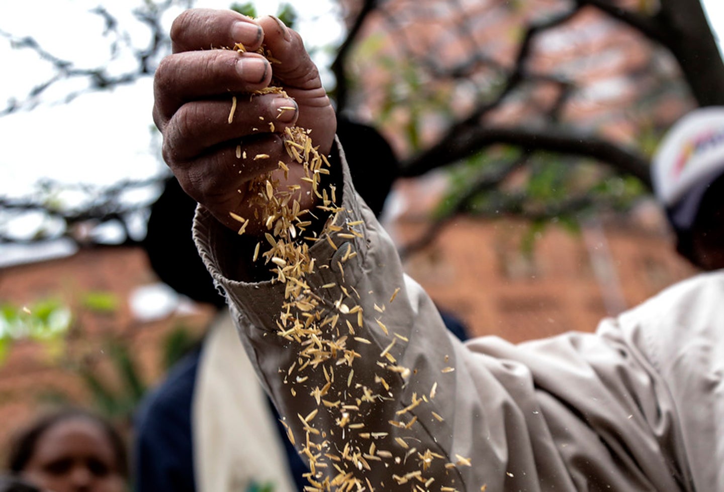 Se buscan salidas para aumentar la productividad y la generación de ingresos para el campo.