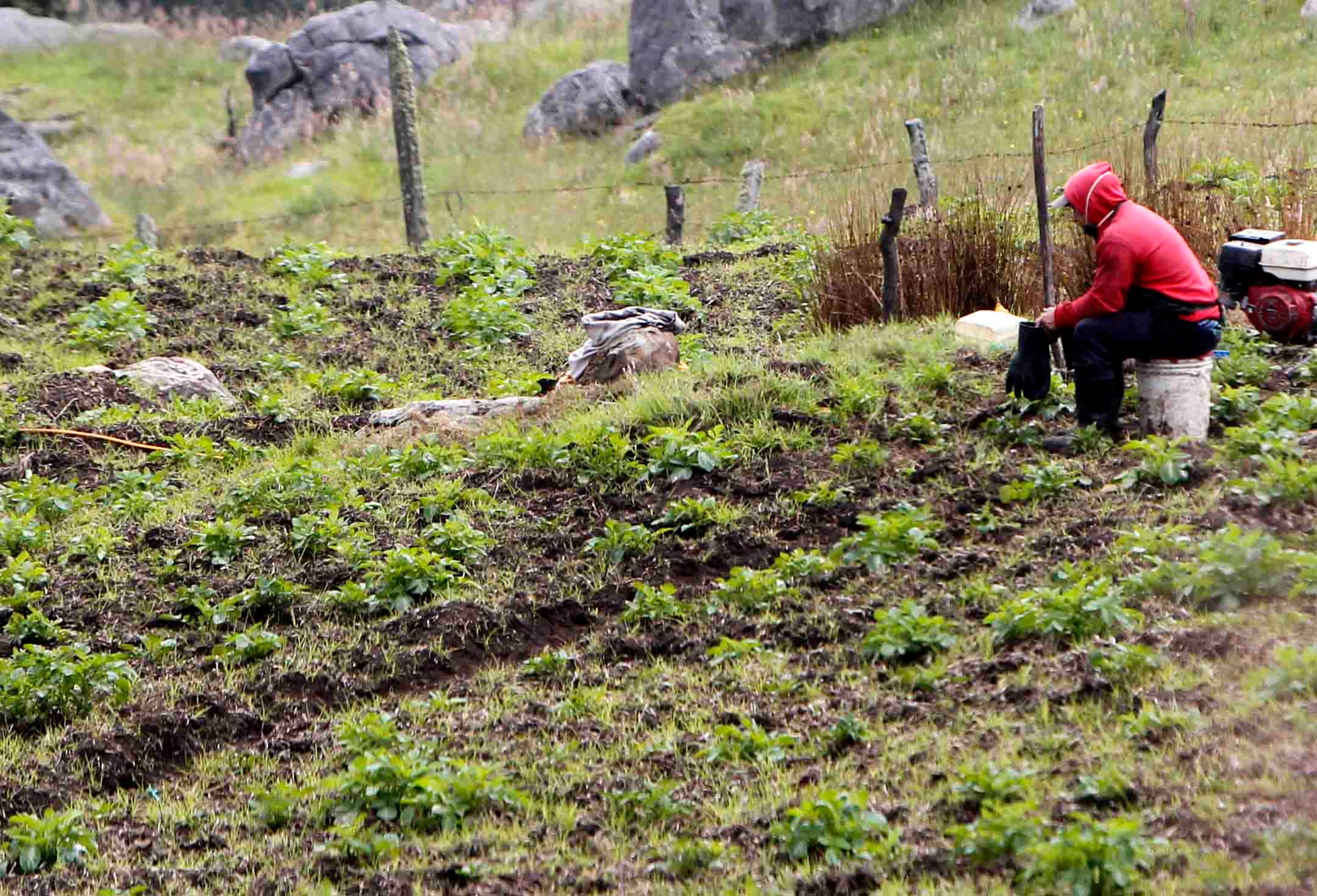 ‘Campo Emprende’ es el plan del Gobierno para impulsar el crecimiento económico y la transformación en las zons rurales.