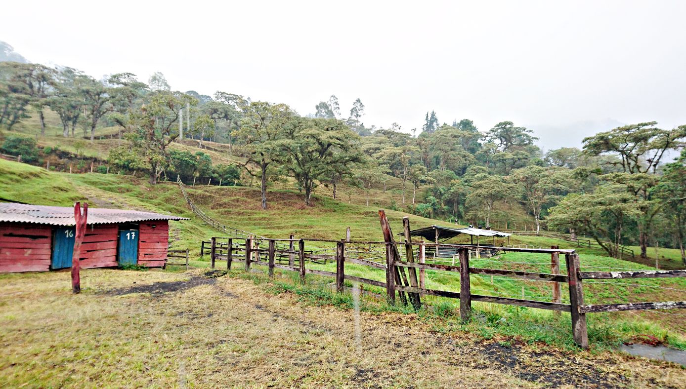 Alcaldía no firmo convenio con el IGAG antes de ley de garantías