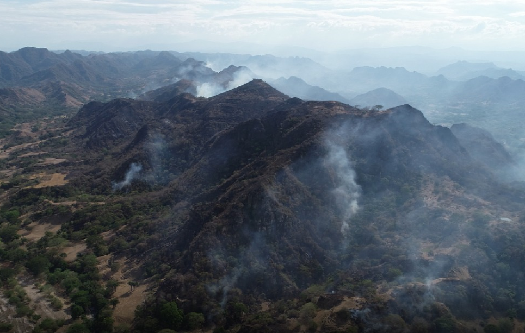 Son mas de 8.000 ha consumidas en el Tolima