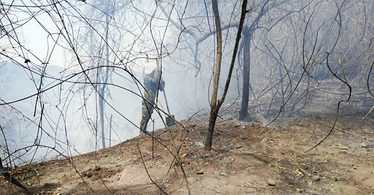 Incendio forestal en Honda fue controlado en 100%