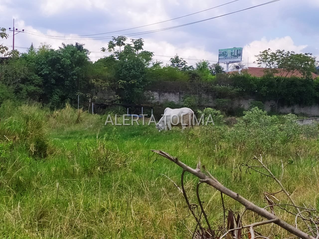 Obra Portal San Gabriel