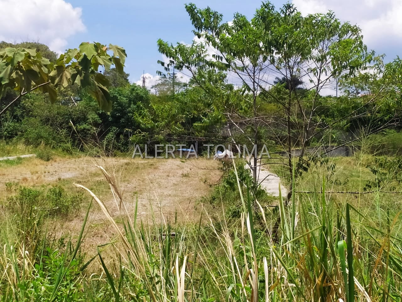 Obra Portal San Gabriel