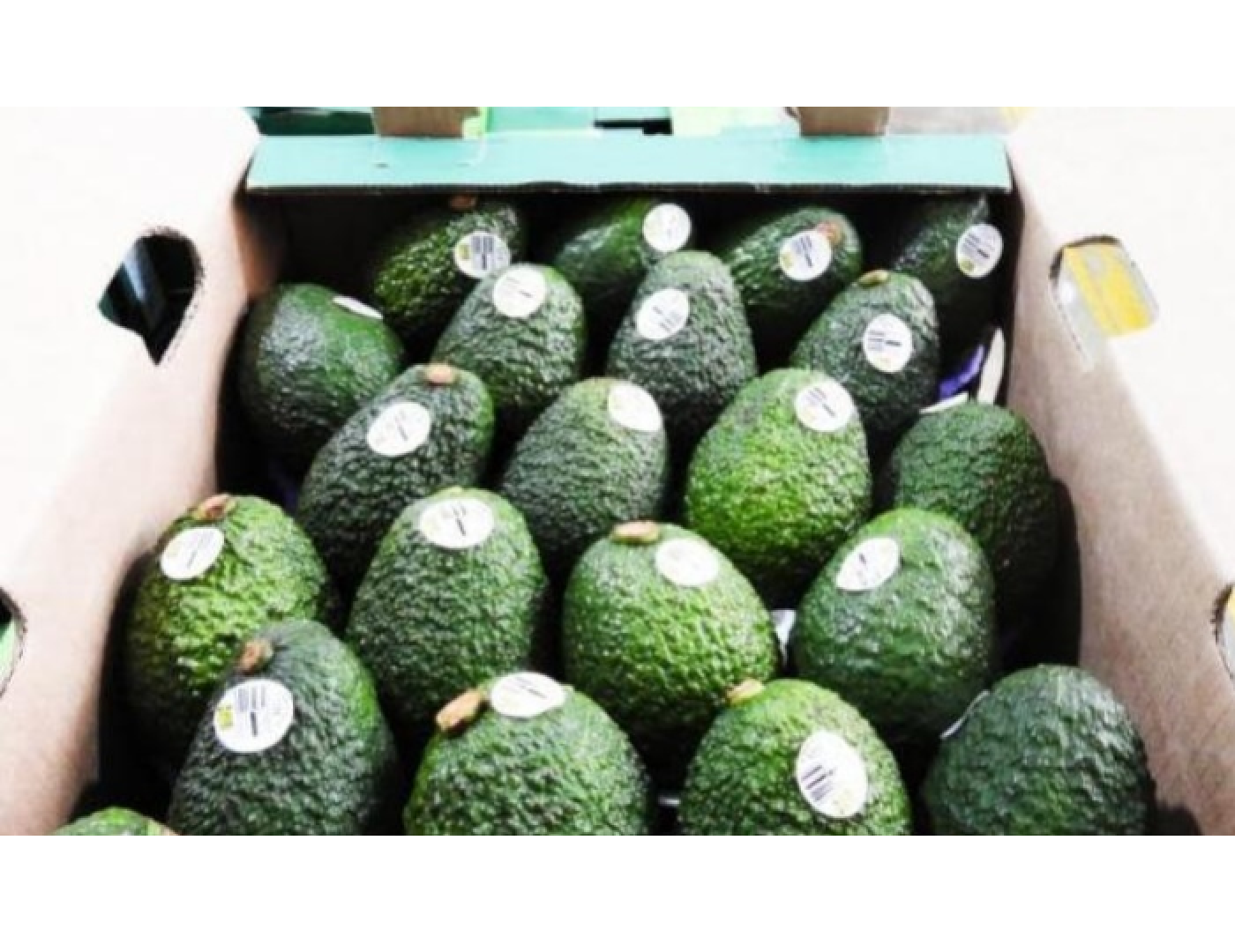 Es la apuesta del candidato Conservador.