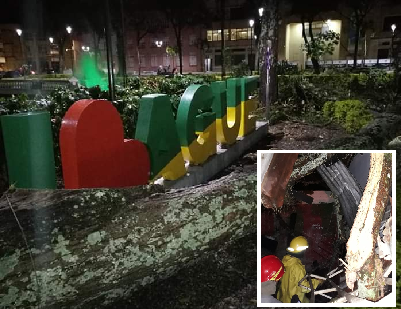 Una mujer fue herida luego que un árbol cayera sobre su casa.