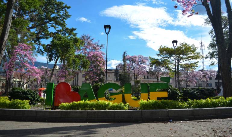 Cumpleaños de Ibagué