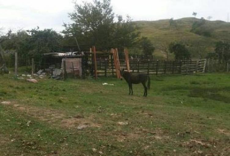 De acuerdo a Cardoso, la corporación ha denunciado volteo de tierras en Alvarado