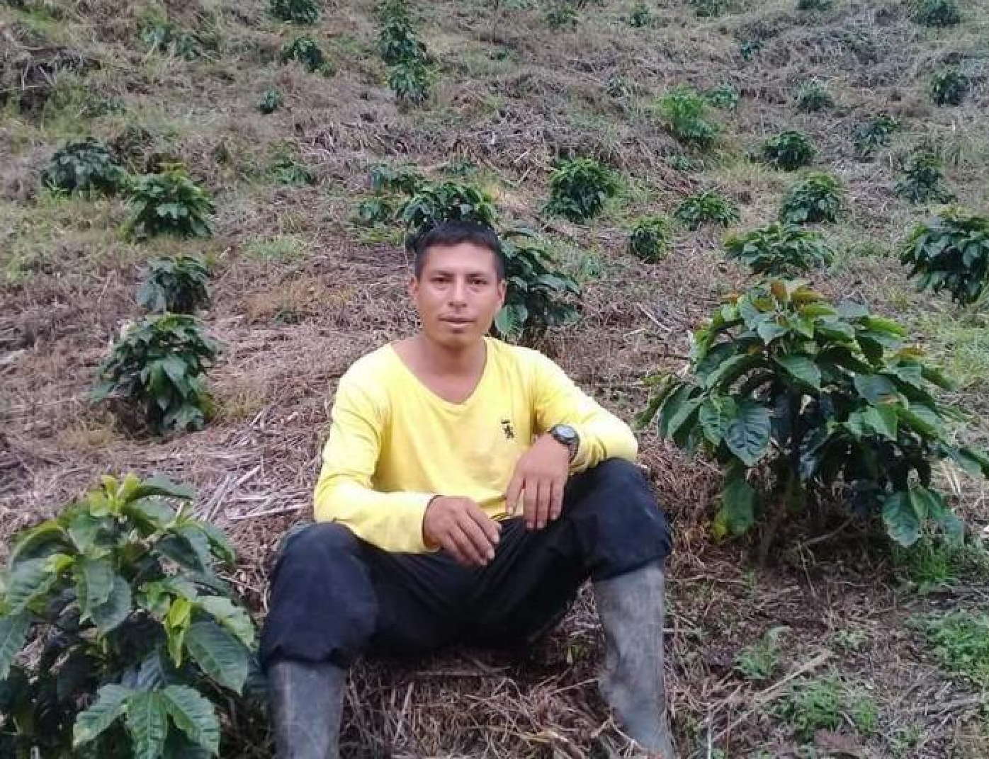 Dago Hernán Galíndez Chicangana