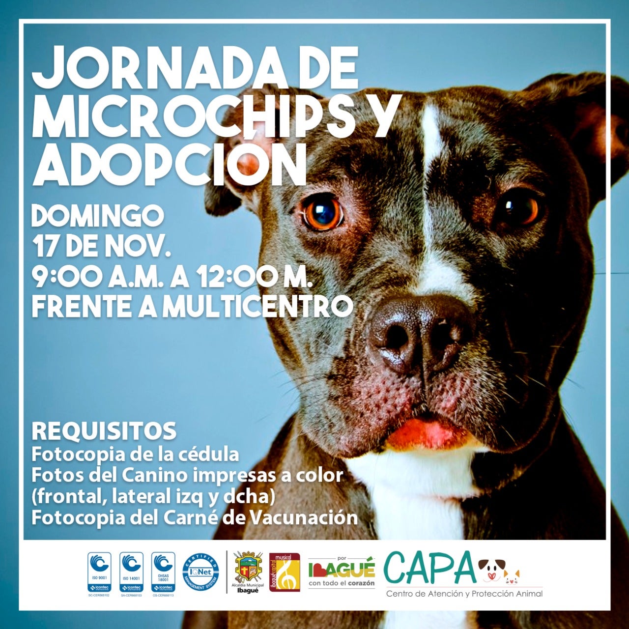 Jornada de Vacunación