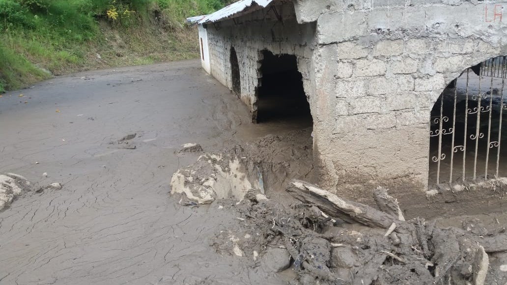 En búsqueda de los desaparecidos