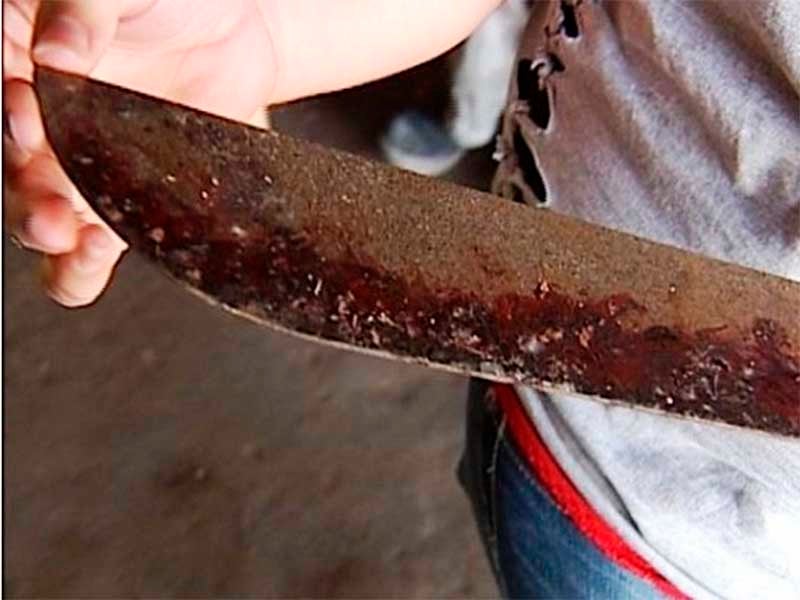 La asesinó con arma blanca