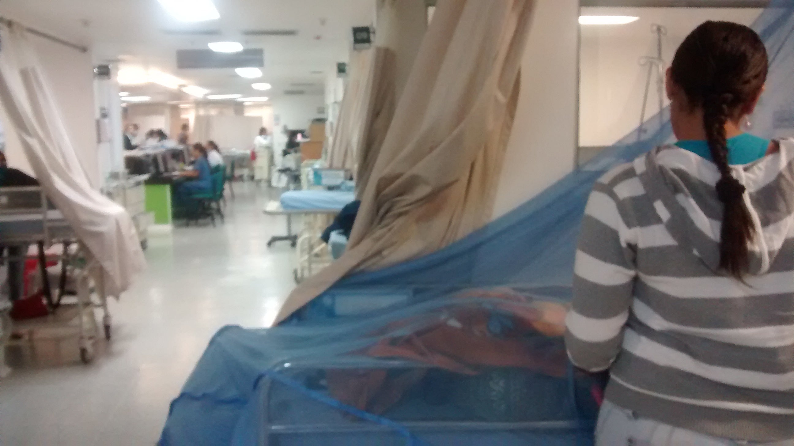 Un perro Pitbull mordió en el brazo a un niño de 3 años en Ibagué